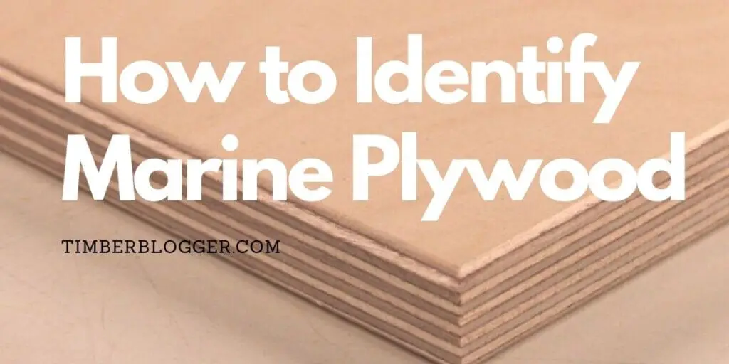 How to Identify Marine Plywood? ? Tips for Identify Marine Plywood