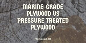 okoume marine plywood uses, advantages, and disadvantages