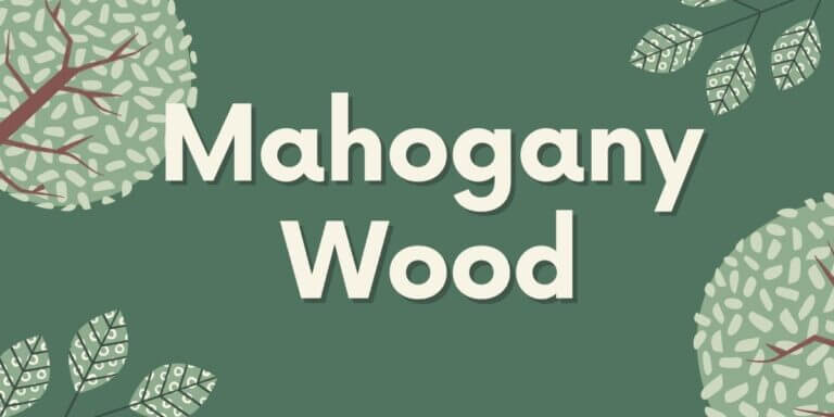 mahogany-wood-properties-and-uses-all-about-mahogany-tree-timber