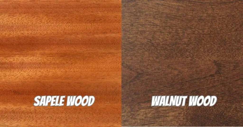 Sapele vs Walnut: Difference between Black Walnut and English Walnut ...