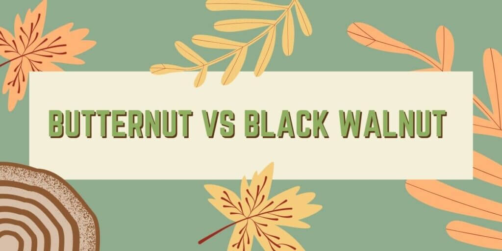 Butternut Vs Black Walnut Wood: Which Is Best For Your Applications?