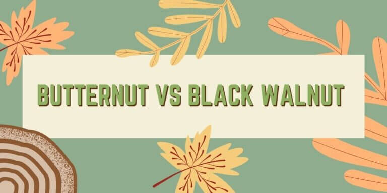 Butternut vs Black Walnut Wood: Which is Best for Your Applications?