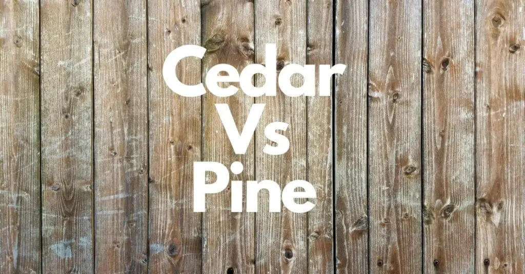 Cedar vs Pine Wood Difference Between Wood, Tree, and Fence?