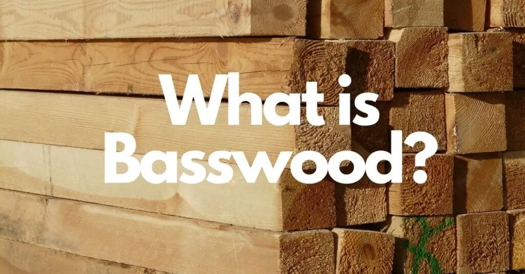 What is Basswood? Everything You Need to Know About Basswood