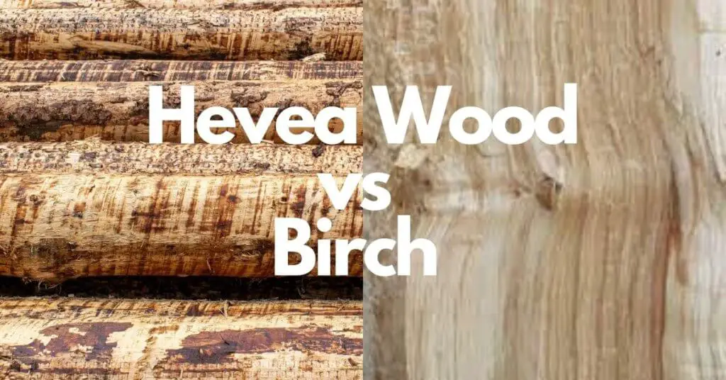 Hevea Wood (Rubberwood) vs Birch | Uses, Identification, and Workability