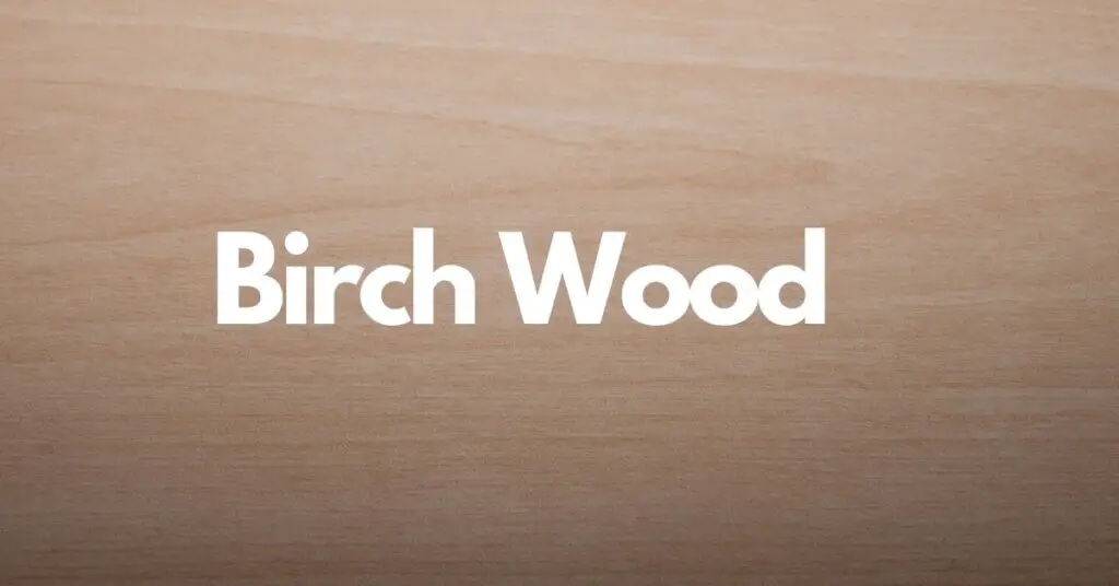 birch-wood-properties-types-of-birch-uses-advantages-and-disadvantages