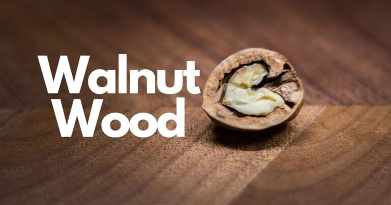 Walnut Wood | Types of Walnut Wood, Uses, Advantages, and Disadvantages