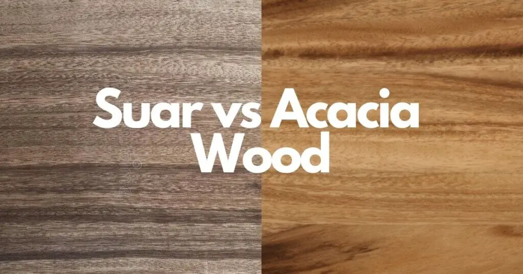 Suar Wood vs Acacia Wood Which Wood is Best? Timber Blogger