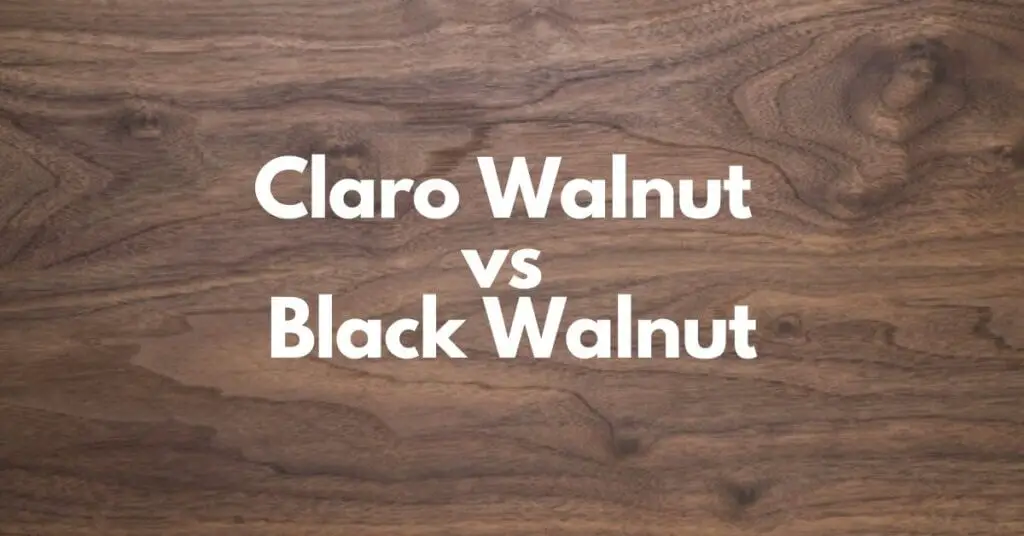 Claro Walnut vs Black Walnut Wood | What Are The Differences?