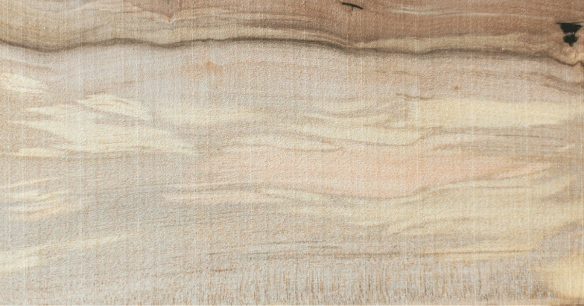 Sassafras wood– Characteristics, Uses, Pros and Cons