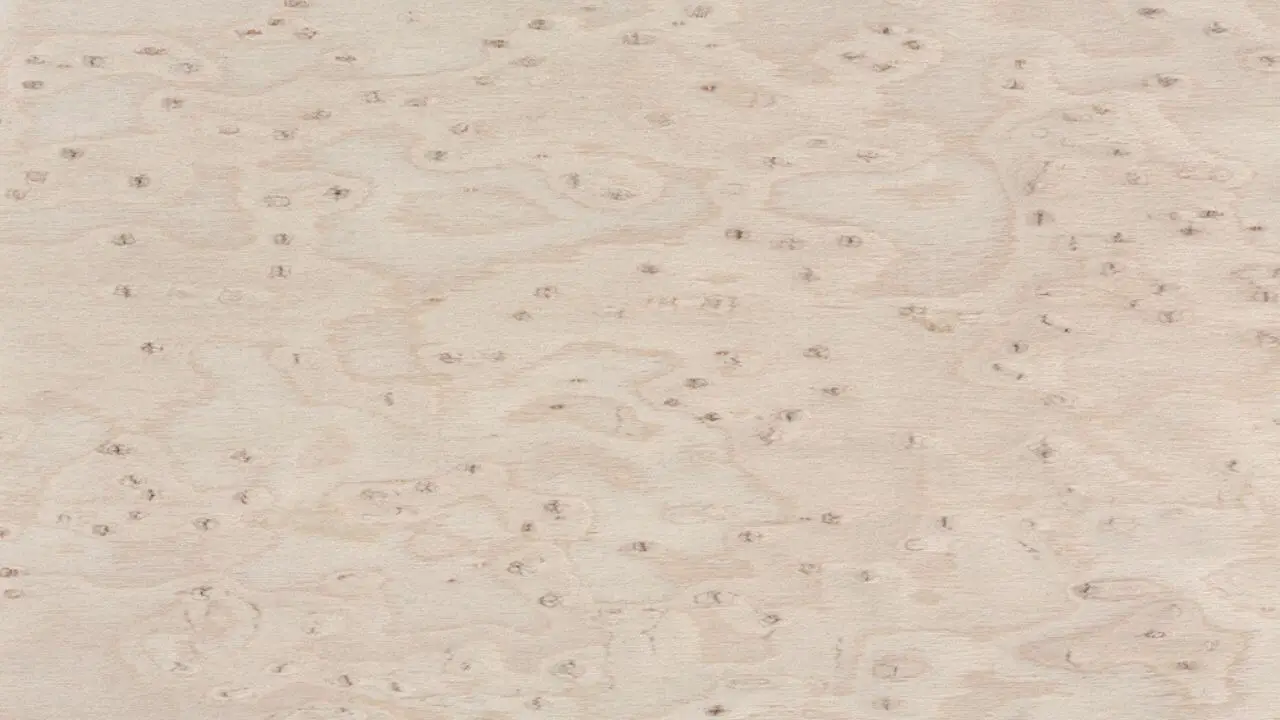 Birdseye Maple Wood