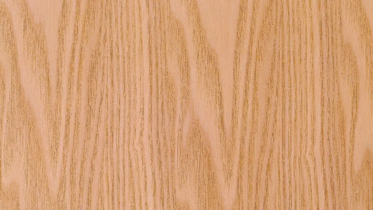 Difference Between Larch and Spruce Wood