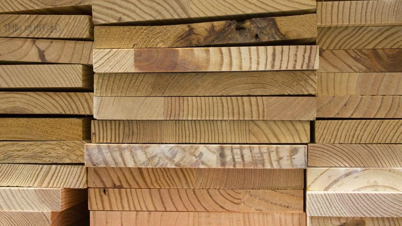 What is Hardwood Poplar 54 Mean